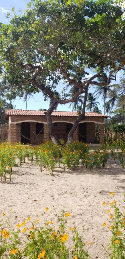 Inn Mangue Seco